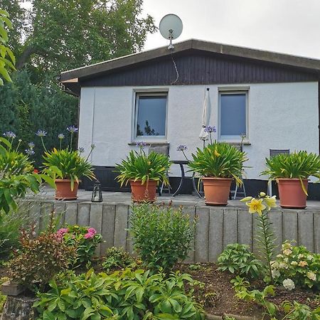Ferienhaus Appold 베르니게로데 외부 사진