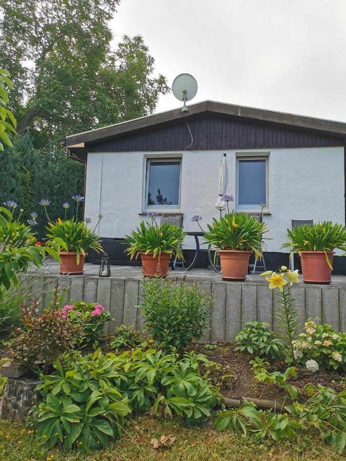 Ferienhaus Appold 베르니게로데 외부 사진